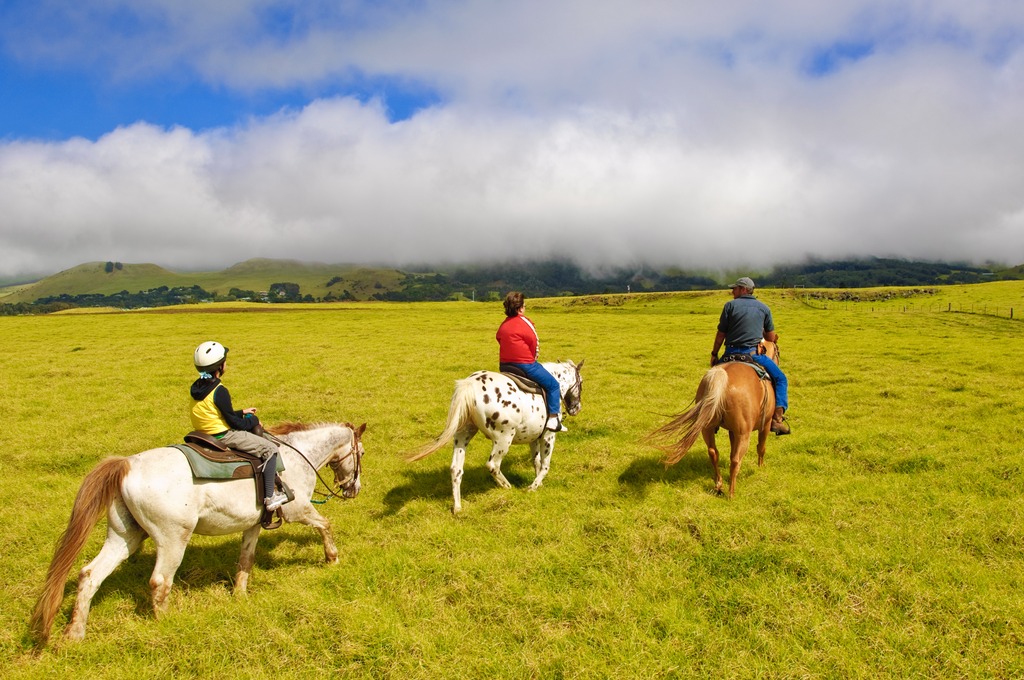 Horseback riding at Parker Ranch, The Big Island, Hawaii, United States of America, North America